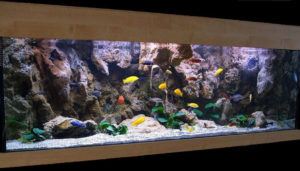 freshwater tank