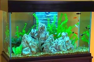 new freshwater tank